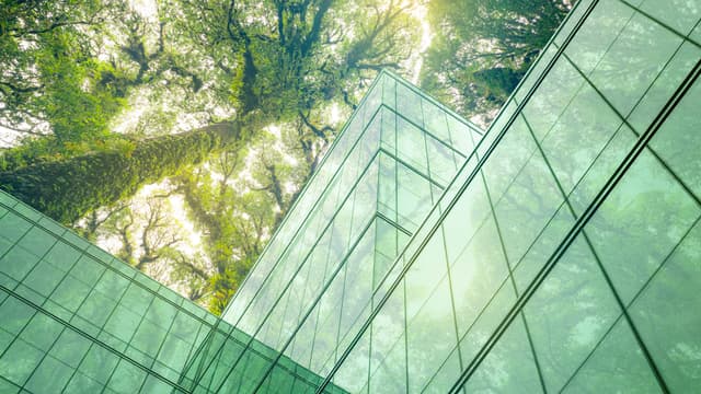 urbaani kaupunkimaisema jossa lasiseinät ja alhaalta ylöspäin kuvattu lehtipuu