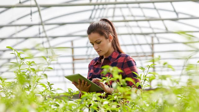 nainen kasvihuoneessa tabletti kädessä