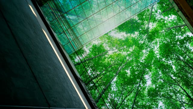 metallirakenteisen rakennuksen lasikaton läpi näkyy vihreitä puunlatvoja